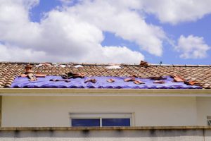 The Future of Sustainable Roof Construction