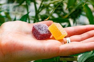 How to Choose the Right Delta 9 Gummies for Your Needs