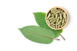 How to Spot Authentic Kratom Sellers on the Internet