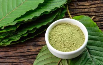 The Most Potent Green Vein Kratom: Your Guide to Buying and Using