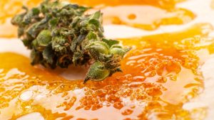 A Flavor Odyssey Exploring the World of Live Resin Carts